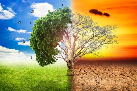 iklim değişikliği ve küresel ısınma